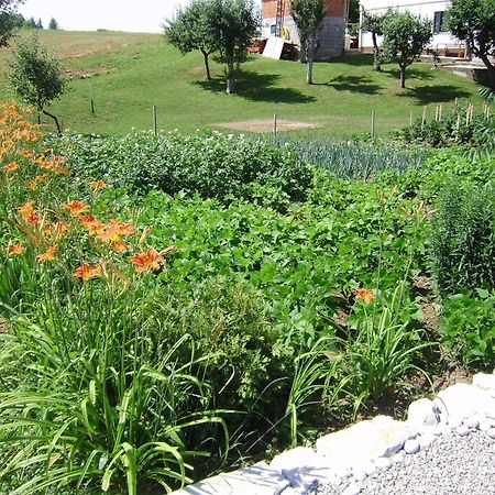 House Osana Hotel Grabovac  Eksteriør billede