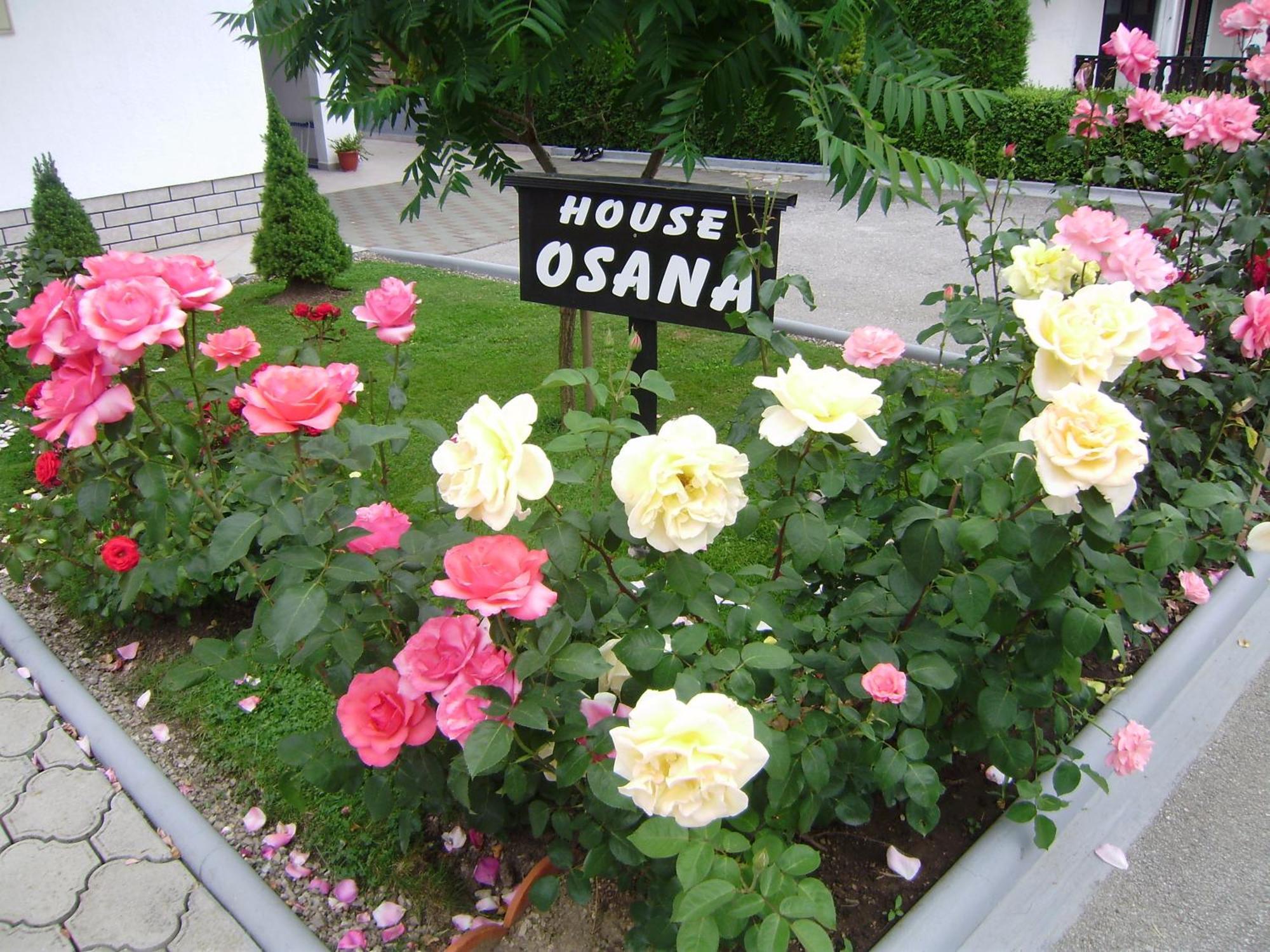 House Osana Hotel Grabovac  Eksteriør billede