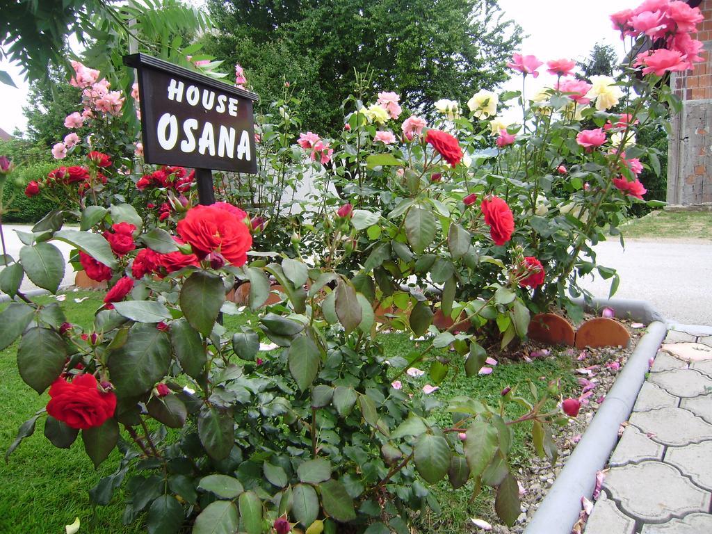 House Osana Hotel Grabovac  Eksteriør billede